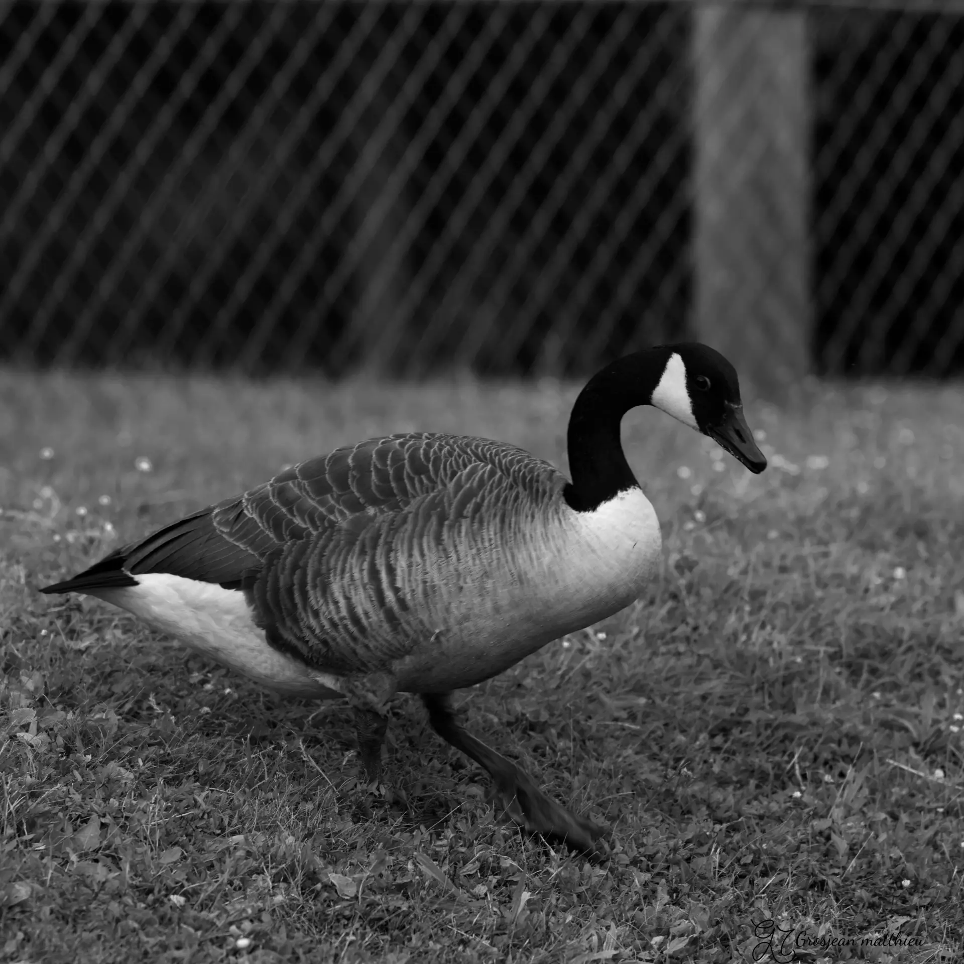 a walk along the seine 03