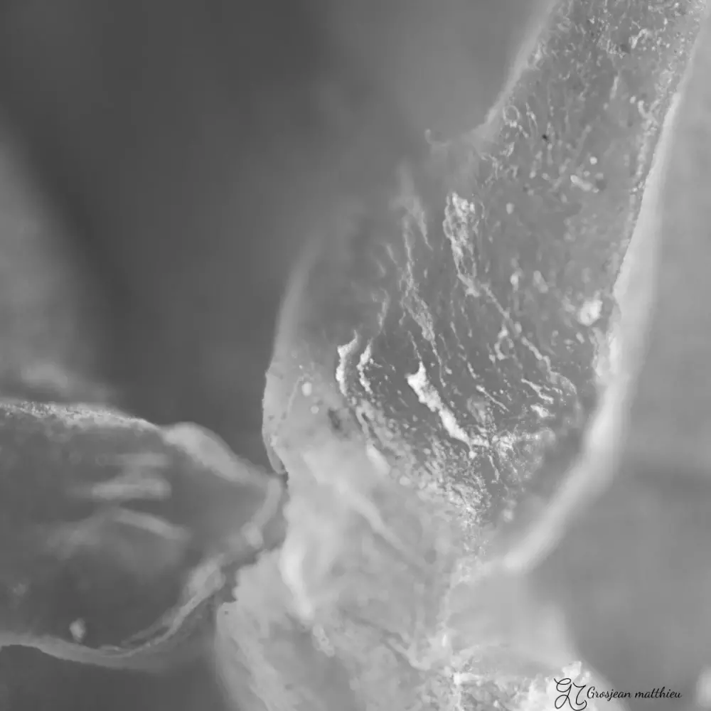 Cire d abeille alveolee 01
