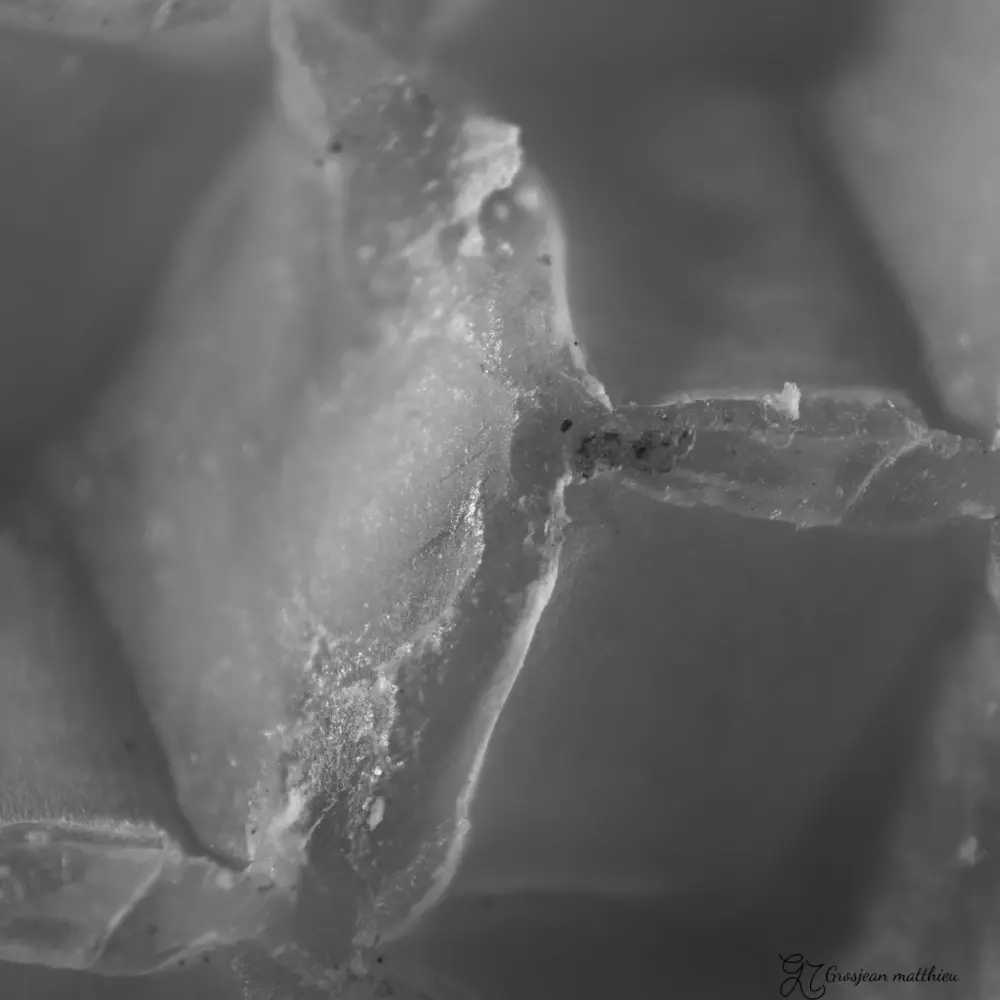 Cire d abeille alveolee 02