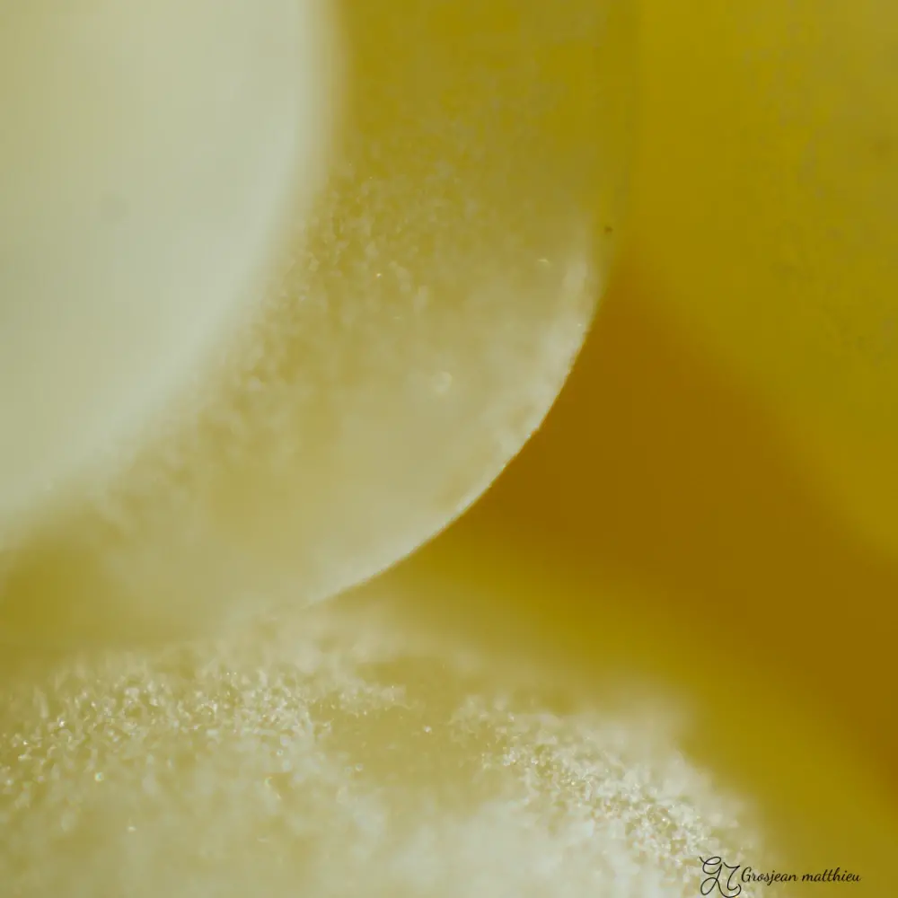 Cire d abeille en paillette 02