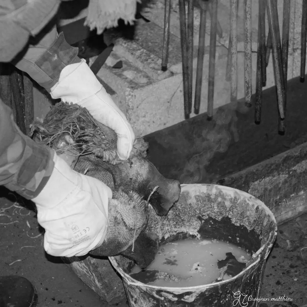 wax removal 04