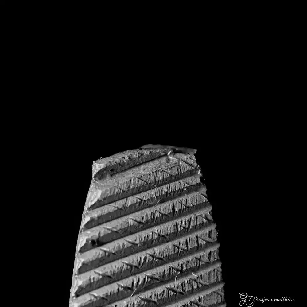 Files the defects 01